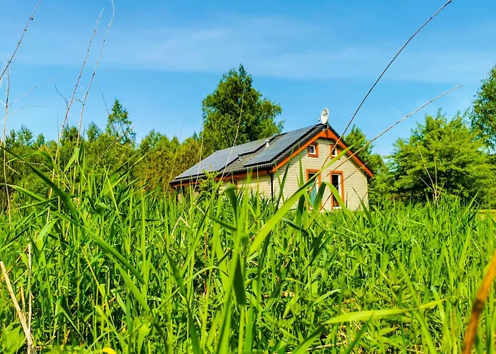 Surf Habenda Z Sauna Ogrodowa Sarbsk